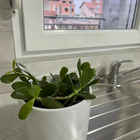 Belgrade Airport Luxury Single Apartamento *